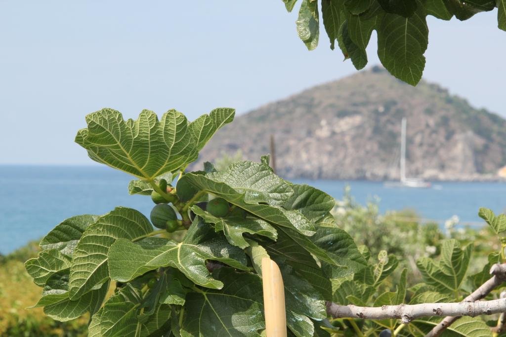Hotel Maronti Barano d'Ischia ภายนอก รูปภาพ