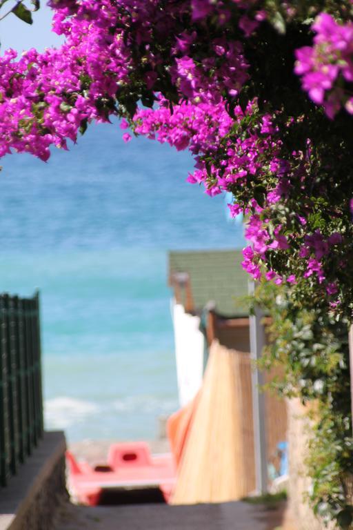 Hotel Maronti Barano d'Ischia ภายนอก รูปภาพ